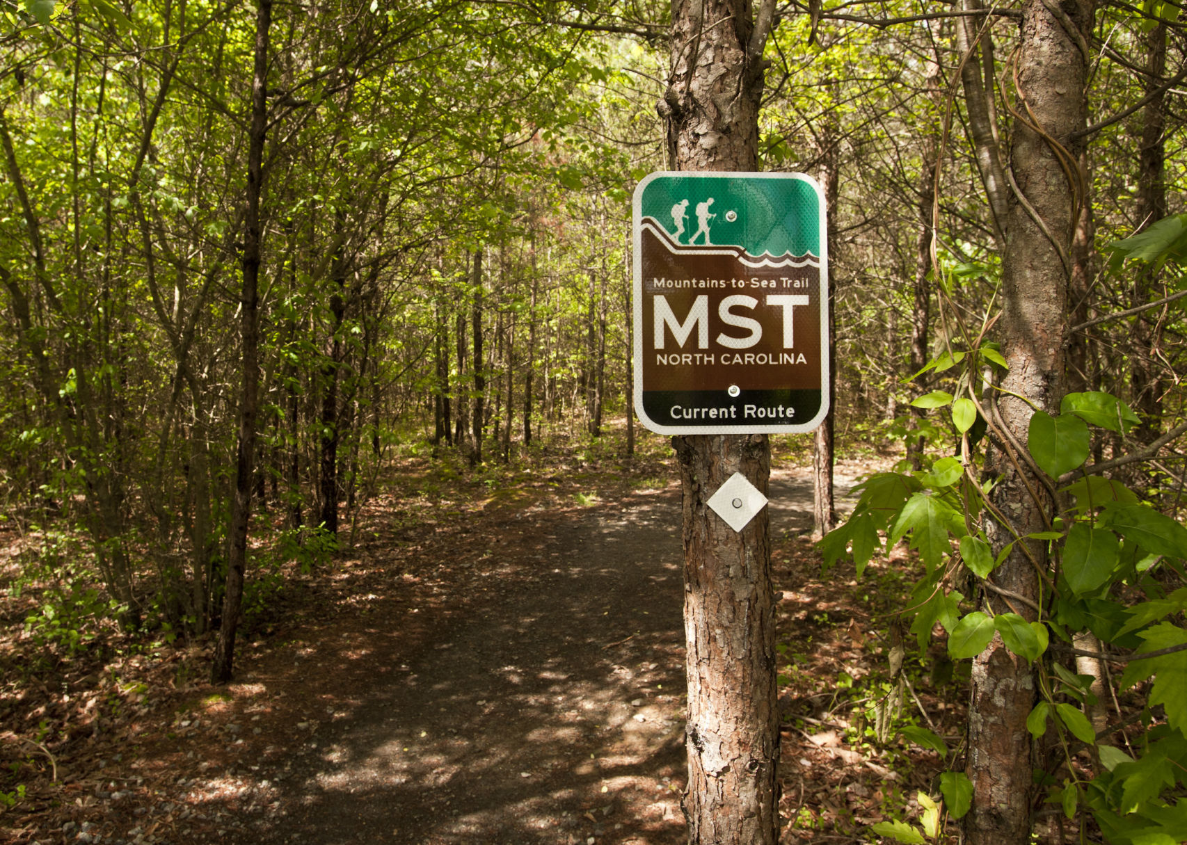 Cascades Preserve